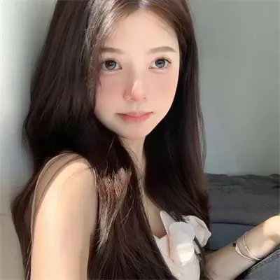 狐狸猎手封面